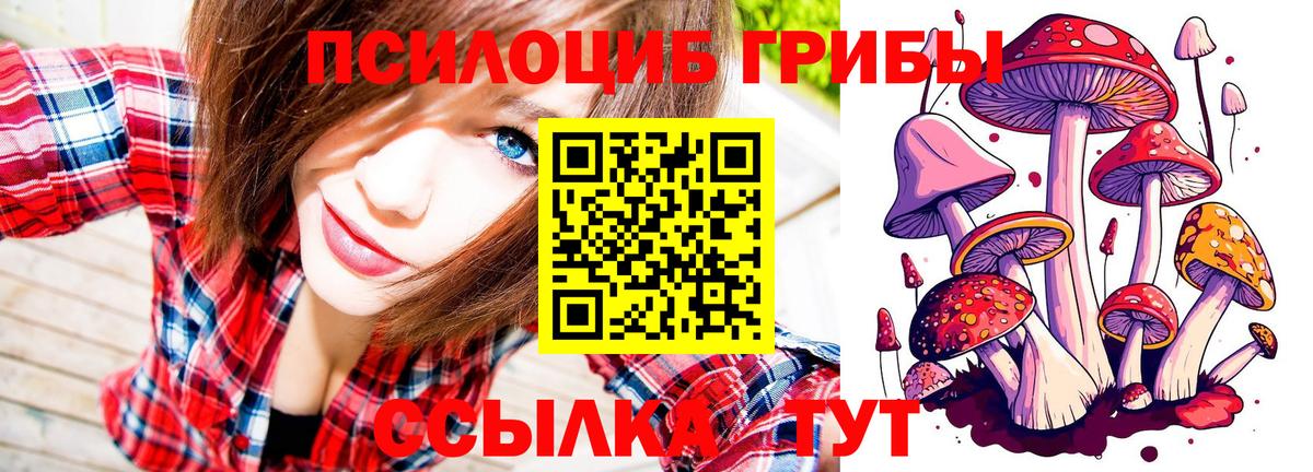 Псилоцибиновые грибы Magic Shrooms  Псилоцибиновые грибы GOLDEN TEACHER  Рубцовск  Вход с VPN 