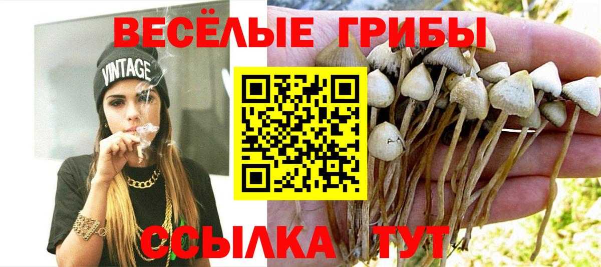 Галлюциногенные грибы ЛСД Рубцовск
